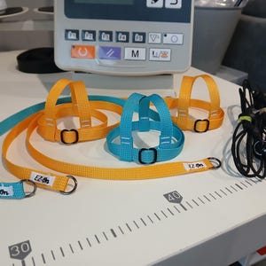 May include: Two nylon pet harnesses with matching leashes in bright yellow and turquoise. Each harness features adjustable black metal sliders and a white tag labelled EZ-On. The leashes include metal D-rings and are positioned on a scale.