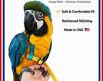 Handmade Parrot Harness, Leash: Lightweight Stainless Steel - Large/XLarge