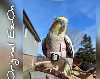 How to Make a Bird Harness: Easy Steps for Safe Outdoor Fun