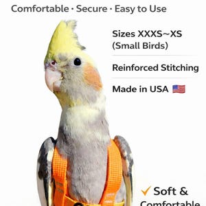 May include: An orange Ez-On Parrot Harness on a cockatiel. The harness is designed for small birds and features reinforced stitching. The text on the image reads "Comfortable, Secure, Easy to Use" and "Soft & Comfortable Fit."