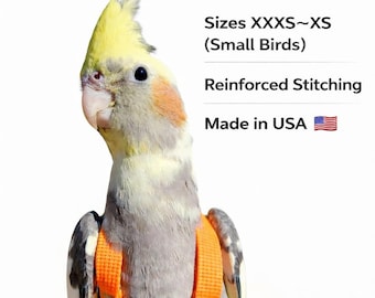 Handmade EZ-On Parrot Harness with Detachable Leash: Lightweight Stainless Steel Hardware