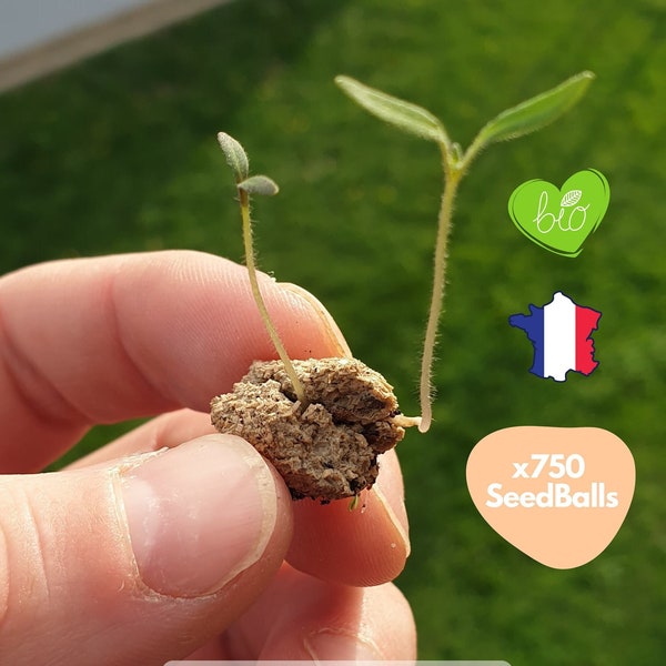 750+ SeedBalls en VRAC - Balles de Graines BIO vrac - Cadeau d'invité original et écologique à ensacher DIY, mariages, baptêmes, Seedbombs