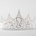 see more listings in the Birthday crowns section