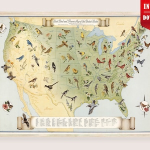 May include: A framed vintage map of the United States, showcasing state birds and flowers. The map features detailed illustrations of various bird species and floral emblems, with a cream-colored background and a wooden frame. The title "State Bird and Flower Maps of the United States" is displayed.