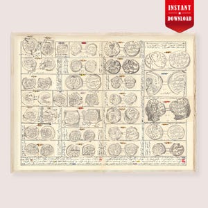 May include: A rectangular print featuring a grid of detailed black and white line drawings of ancient coins. Each coin illustration is paired with handwritten text and small colored markings. The layout is organized into rows and columns.