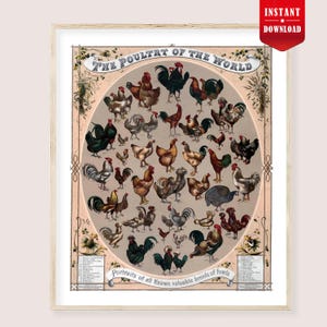 Puede incluir: Impresión vintage enmarcada titulada "The Poultry of the World" con ilustraciones de varias razas de pollos. La obra de arte está sobre un fondo beige, con texto y elementos decorativos. Una pegatina roja de "Descarga instantánea" está en la esquina superior derecha.