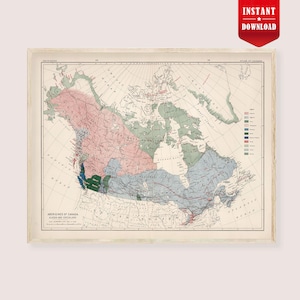 Könnte beinhalten: Eine weiße Keramik-Tasse mit schwarzem Henkel und dem Text "But First, Coffee" in fetter, schwarzer Schrift. Die Tasse steht vor einem verschwommenen Hintergrund, der eine gemütliche Umgebung suggeriert.