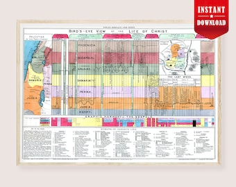 The Histomap of Evolution Human Life History Print Poster - Etsy