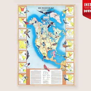 May include: A framed vintage map titled "Bird Migration Map of North America." The map features illustrations of various bird species and migration routes across the continent. The map is in a wooden frame and includes the text "Instant Download."