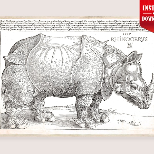 Albrecht Durer Rhinoceros Print Digital Vintage Reproduction Durer Painting Download Large Rhinoceros Wall Art Poster Durer Nasorn Engraving