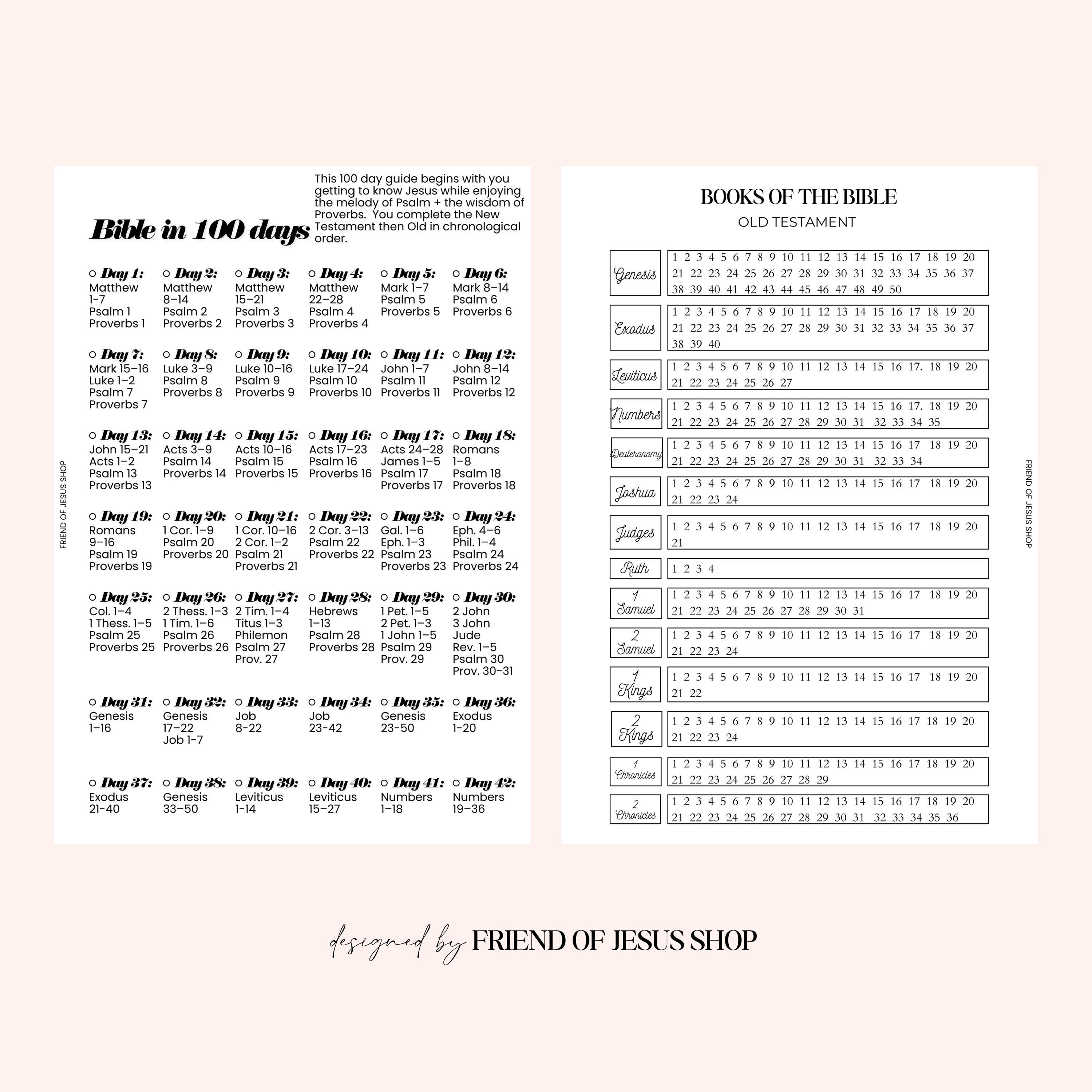 Bible in 100 Days | Books of the Bible Tracker | A5 Planner Insert | Printable Bible Tracker | New Testament Tracker | Old Testament Tracker - Thumbnail 2
