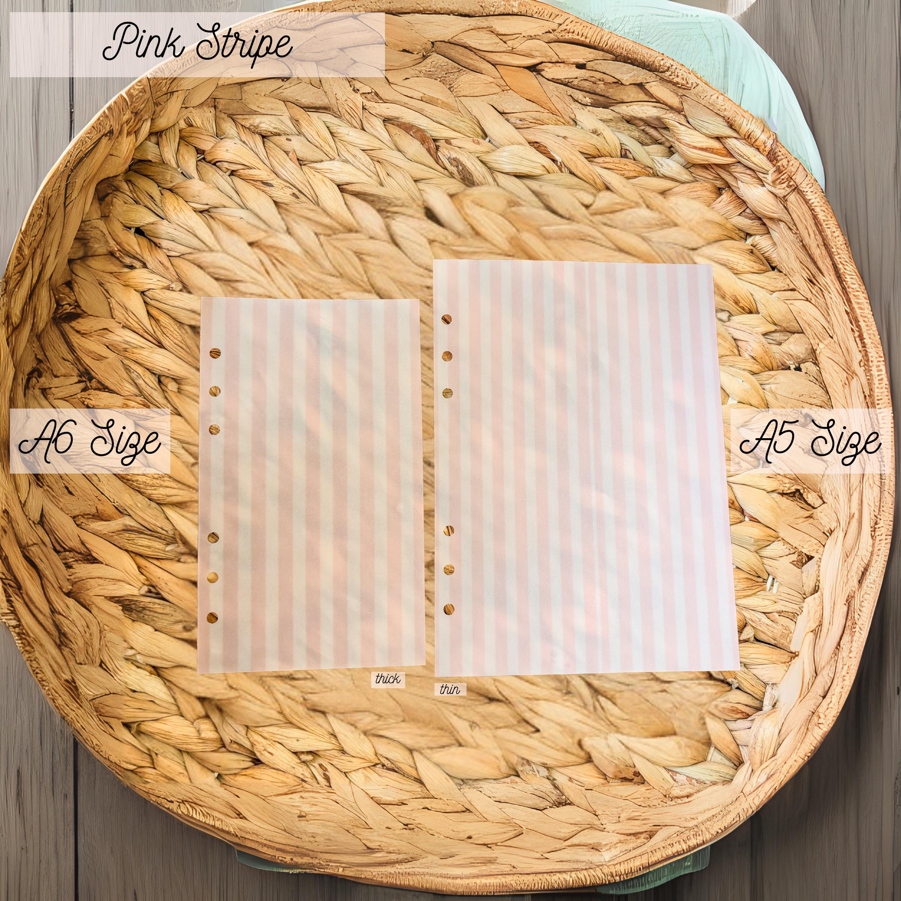A5, A6 Planner Dashboard | Planner Insert | Vellum | Laminated | Pink | Cash Envelopes | Budget