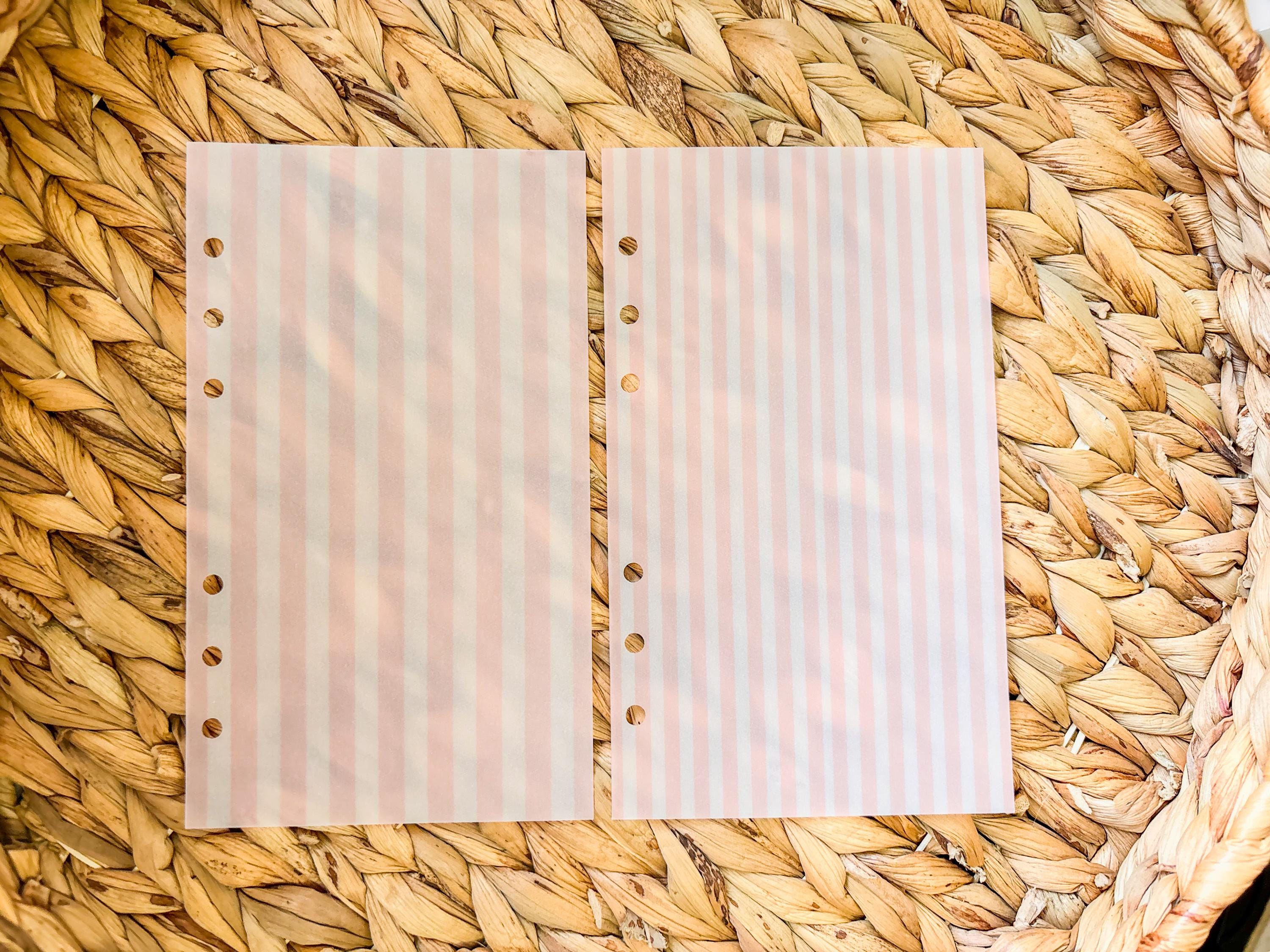 A5, A6 Planner Dashboard | Planner Insert | Vellum | Laminated | Pink | Cash Envelopes | Budget - Thumbnail 4