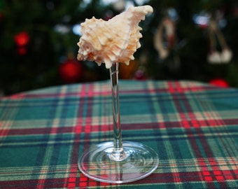 Handcrafted Conch Shell Wine Glasses: Ideal for Beach Weddings and Cocktails