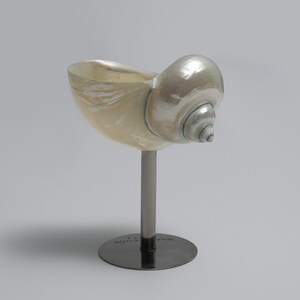 Może przedstawiać: Biała muszla z iryzującymi kolorami jest zamontowana na srebrnym stojaku. Stojak ma okrągłą podstawę z wygrawerowanym tekstem "SHELL".