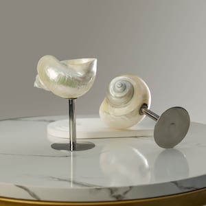 Seashell Martini Glasses - Trending Valentine&#39;s Day Gifts 2024 - Shell Wine Glasses - Wedding Bridesmaid Gifts