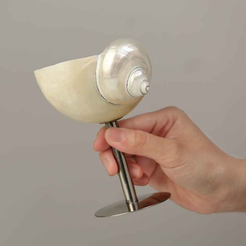 May include: A champagne glass made from a natural seashell, with a pearlescent sheen and a stainless steel stem. The shell's interior is smooth and creamy, contrasting with the metallic base. A decorative and elegant item.
