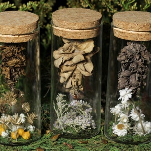 Bagworm Cocoons Garden Large Vial