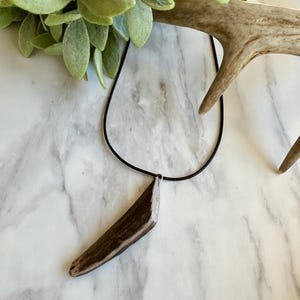 Antler tip pendant necklace