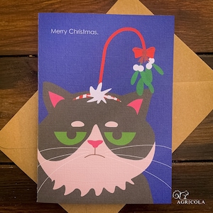 Ardilla, pato, faisán, vaca y rana / Tarjetas navideñas ilustradas8 divertidas tarjetas navideñas con animales, paquete múltiple de gato, perro, pollo,
