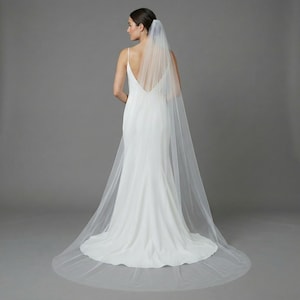 Può includere: Un abito da sposa bianco con un lungo strascico e un velo trasparente. L'abito ha un design semplice ed elegante con spalline sottili e una schiena scoperta. Il velo è attaccato alla parte posteriore della testa e scende fino a terra.