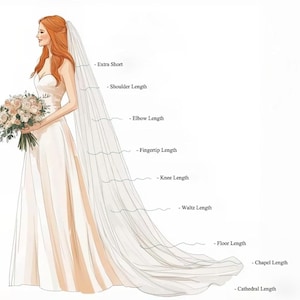 May include: Illustration of a bride in a white wedding dress with a long veil. The veil lengths are labeled: Extra Short, Shoulder Length, Elbow Length, Fingertip Length, Knee Length, Waltz Length, Floor Length, Chapel Length, and Cathedral Length.