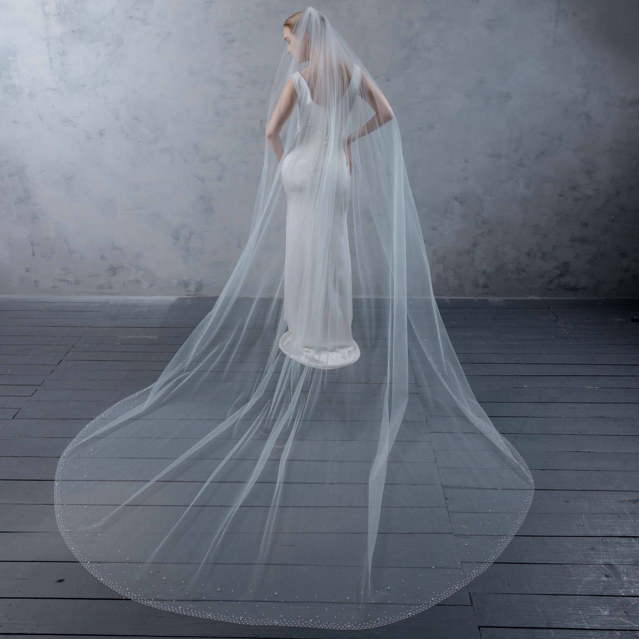 Ivory Beaded Wedding Veil - Scattered Beads, Extra Long with Comb Attachment Beaded Long Royal Cathedral Wedding Veil CHARLOTTE | EDEN  main image 3