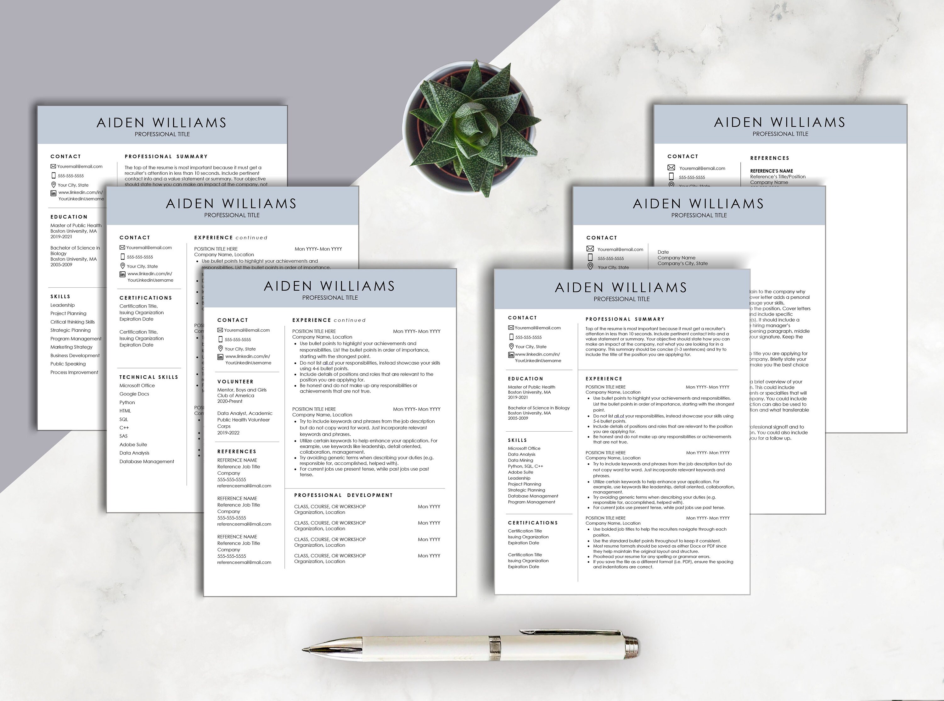 Google Docs Resume Word Resume Modern Clean CV Template Healthcare ...