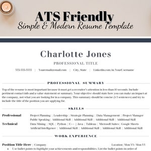 ATS Friendly Word CV Template, ATS Resume Professional Minimalistic Template, Modern Resume Word, Ceo or Director Resume Template
