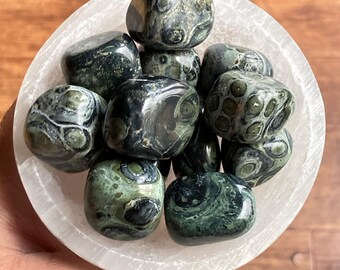May include: A collection of polished, rounded stones in shades of green and black, nestled in a white, circular bowl. The stones have unique patterns and textures. The bowl is held in a hand, with a wooden background.