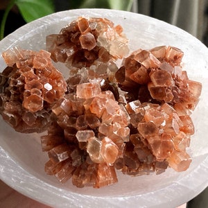 May include: A cluster of brown aragonite crystals in a white bowl. The crystals are clustered together in a natural formation, with a rough, textured surface.