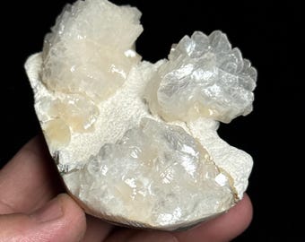 Puede incluir: Un grupo de formaciones cristalinas blancas sobre una base texturizada blanquecina. Los cristales tienen una apariencia en capas, con una calidad ligeramente translúcida. El fondo es negro, resaltando el espécimen mineral.