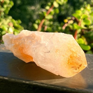 Citrine Dragon Tooth Scepter Wand Brilliant Color & Clarity Ethically and Faire Trade Sourced from Brazil. Crystal Healing.