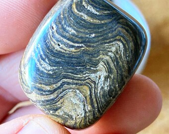 Genuine Stromatolite Fossilized Tumble. Ethically and Faire Trade Sourced from Peru. Crystal Healing.