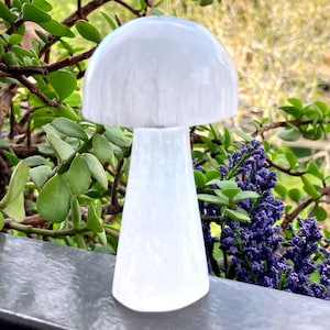 May include: White selenite crystal carved into the shape of a mushroom. The mushroom is about 4 inches tall and has a smooth, polished surface.
