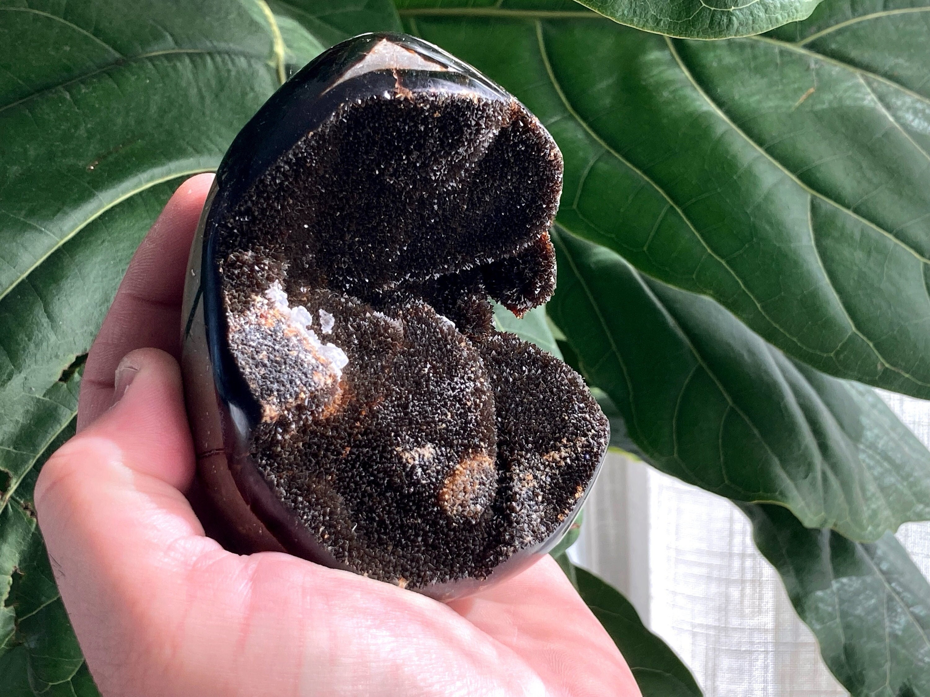 マダガスカル産　セプタリアン マダガスカル産セプタリアン