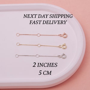 May include: Three gold chain extenders, each 2 inches (5 cm) long, with a lobster clasp on one end and a jump ring on the other. The chains are shown on a white plate against a pink background.