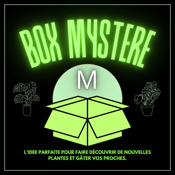 BOX mystère de plantes M