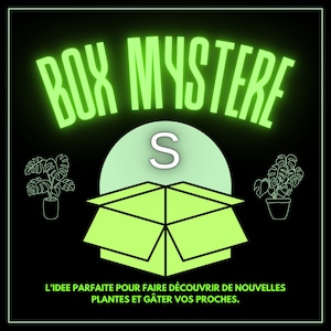 SCATOLA misteriosa di piante S