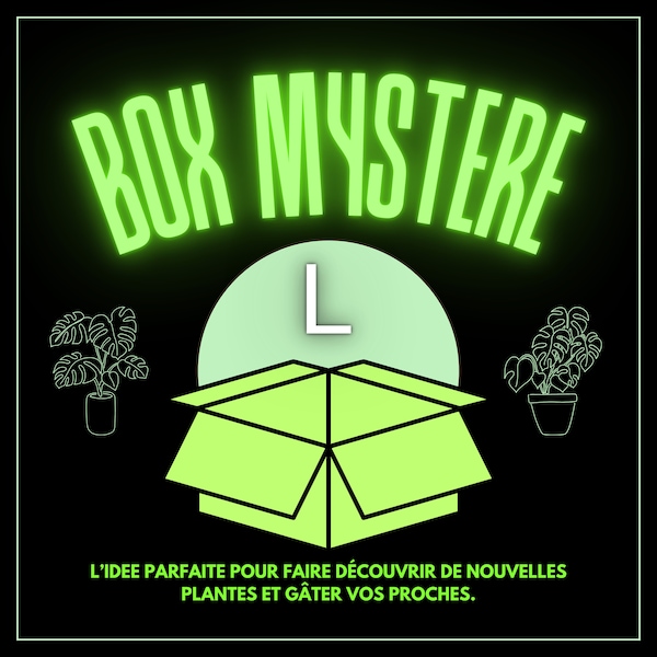 BOX mystère de plantes L