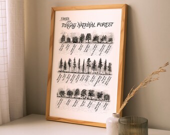 Trees of the Tongas National Forest print | Botanical illustration | Alaska tree drawing