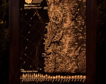 Tongass National Forest Illuminated Map: Alaska Wall Art, Walnut Frame