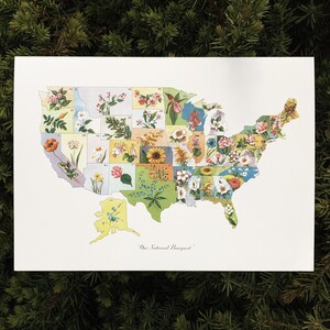 May include: A vintage map of the United States with each state illustrated with a different flower. The map is titled "Our National Bouquet."