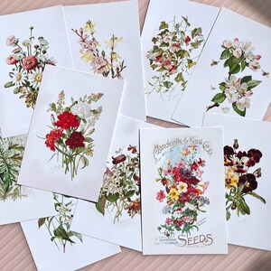 Lot de 10 cartes postales fleurs botaniques, 1885 impressions de fleurs Alois Lunzer, cartes d'illustration de jardin pour journalisme et décoration murale