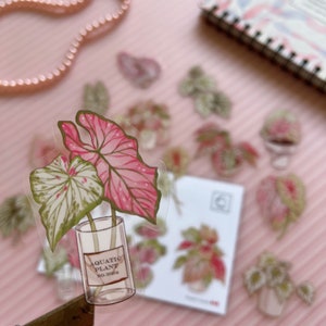 4 styles d'autocollants de plantes tropicales, autocollants transparents bricolage pour animaux de compagnie pour album, agenda, téléphone, guitare, cartes de voeux