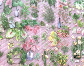 Hojas de calcomanías de PET con acuarela de plantas de interior, cactus caladio, suculentas y frutas botánicas: decoración para álbumes de recortes