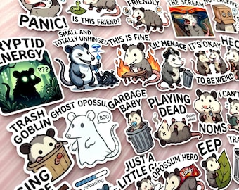 Paquete de pegatinas divertidas de zarigüeyas, calcomanías de vinilo con memes de duendes de la basura caótica, pegatinas kawaii para portátiles