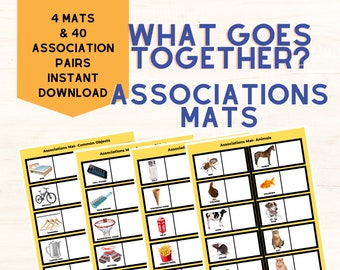 What Goes Together Associations Activity for Speech Therapy and Preschool Education