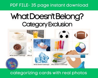 What Doesn’t Belong? Language Activity PDF | Real Photos | Instant Download