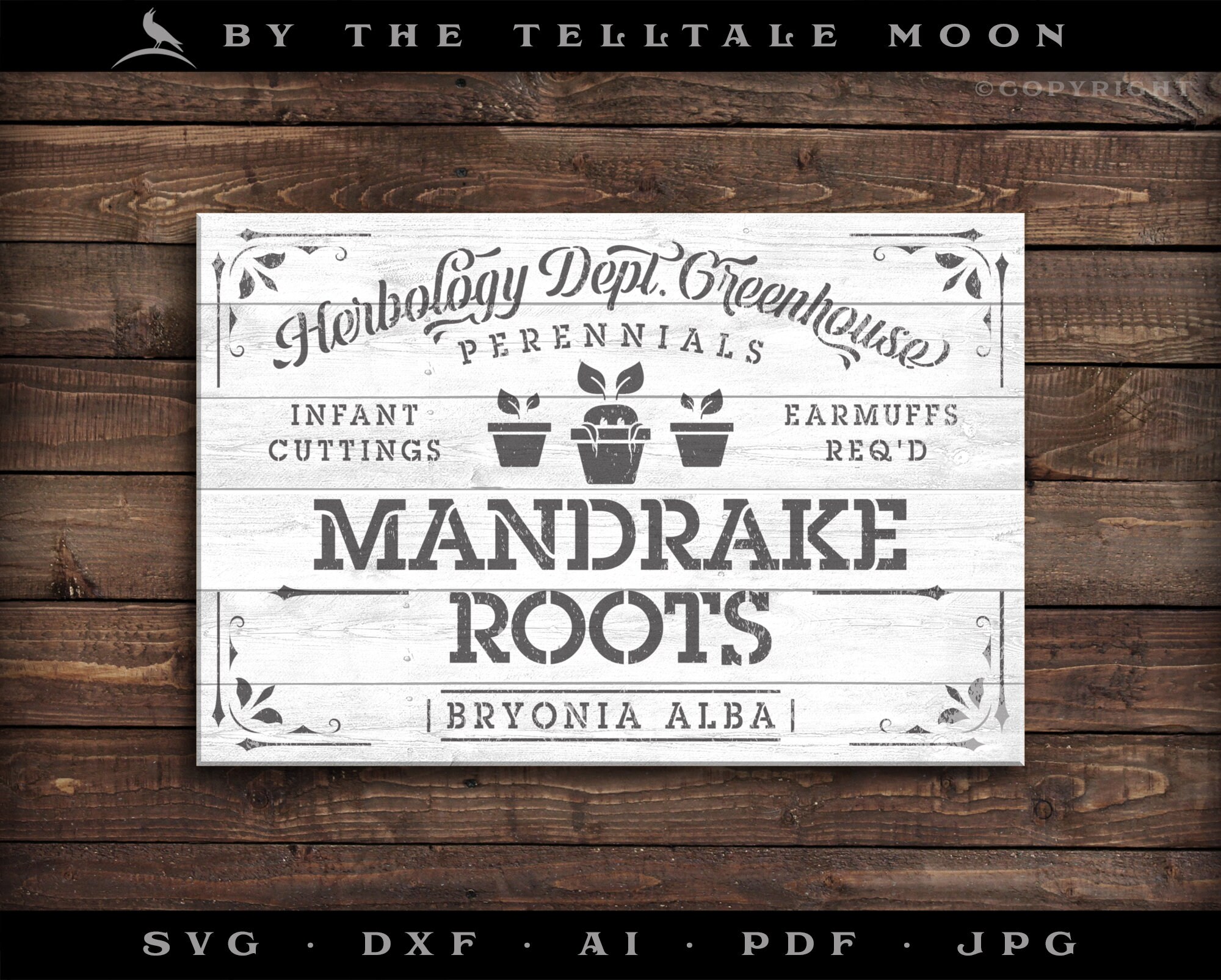 Ilustração do Stock: Hand drawing illustration. Vector illustration of  mandrake. Mandragora root homunculus, alchemy ingredient, witchcraft,  sorcery mystical creature. Halloween character. Botanical. Coloring page